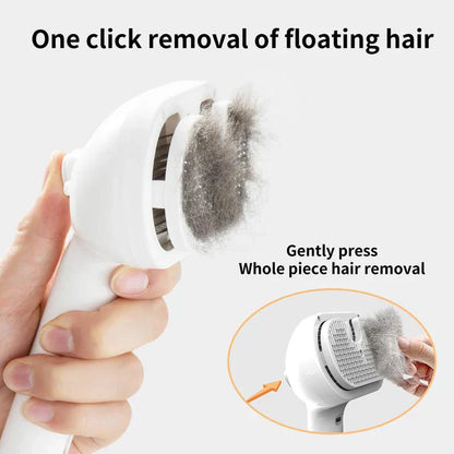 The PetSteam Brush