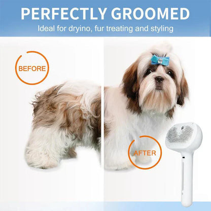 The PetSteam Brush